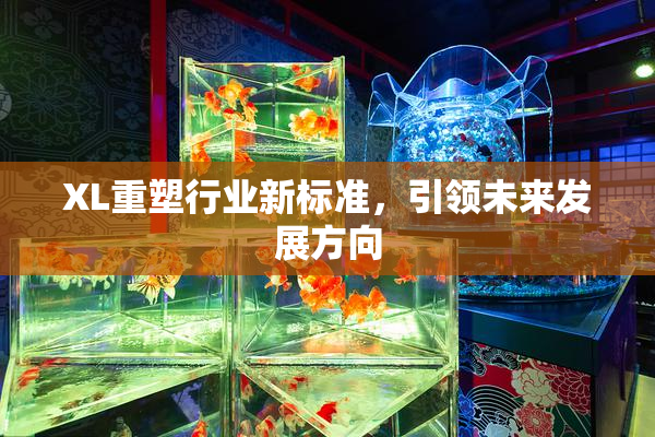 XL重塑行业新标准，引领未来发展方向