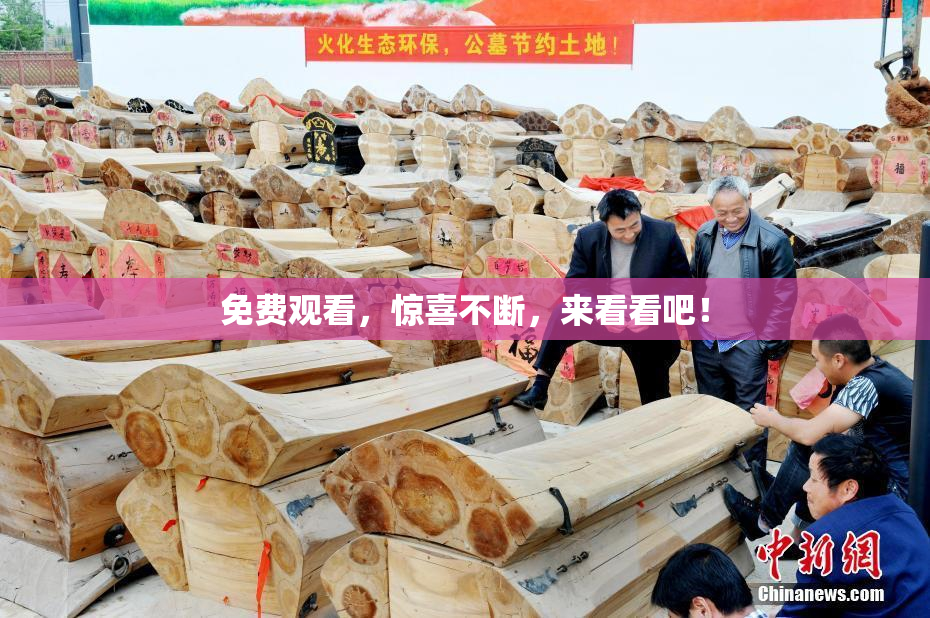 免费观看，惊喜不断，来看看吧！