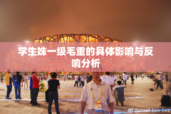 学生姝一级毛重的具体影响与反响分析