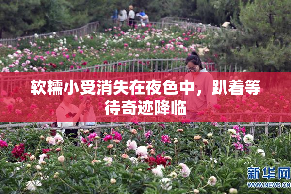 软糯小受消失在夜色中，趴着等待奇迹降临