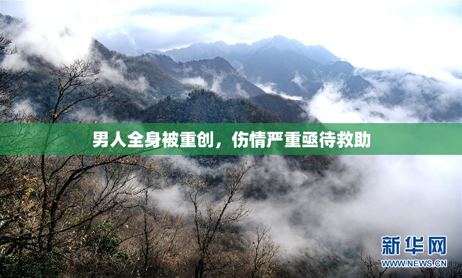 男人全身被重创，伤情严重亟待救助