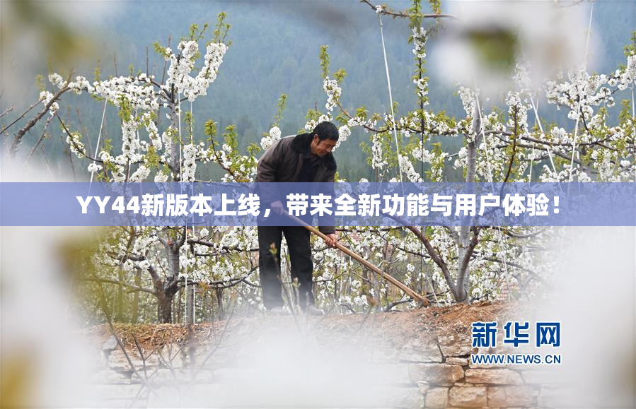 YY44新版本上线，带来全新功能与用户体验！