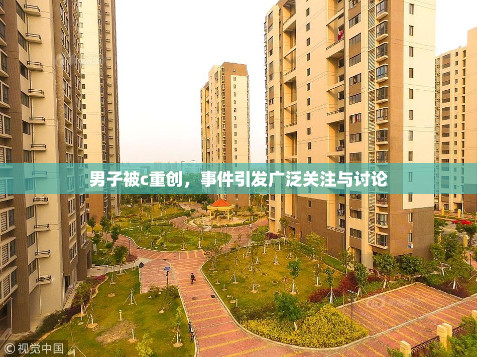 男子被c重创，事件引发广泛关注与讨论
