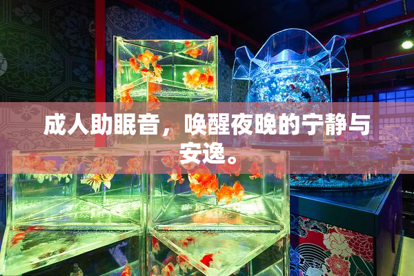 成人助眠音，唤醒夜晚的宁静与安逸。