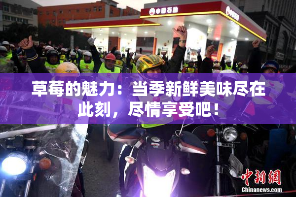 草莓的魅力：当季新鲜美味尽在此刻，尽情享受吧！