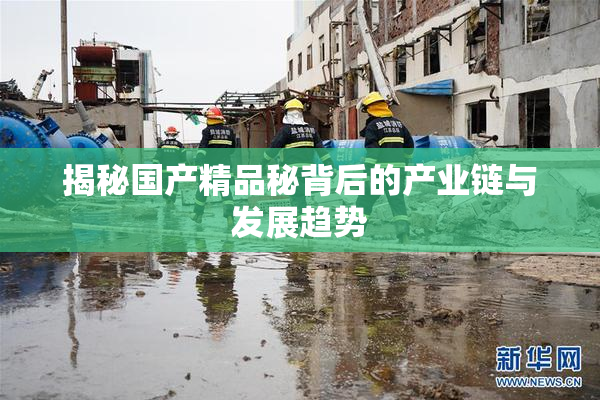 揭秘国产精品秘背后的产业链与发展趋势