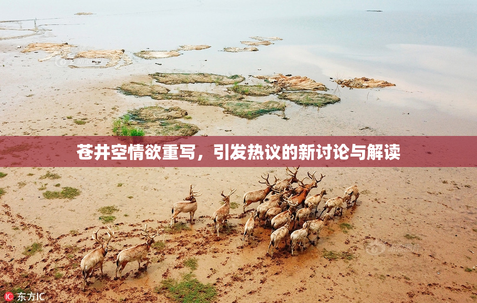 苍井空情欲重写，引发热议的新讨论与解读