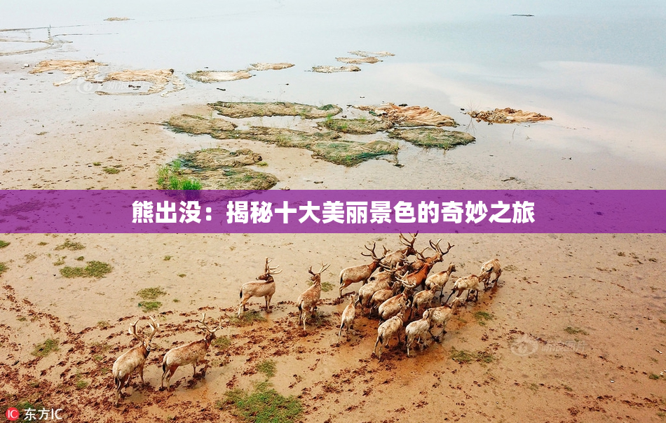 熊出没：揭秘十大美丽景色的奇妙之旅