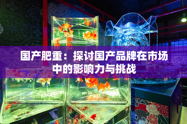 国产肥重：探讨国产品牌在市场中的影响力与挑战