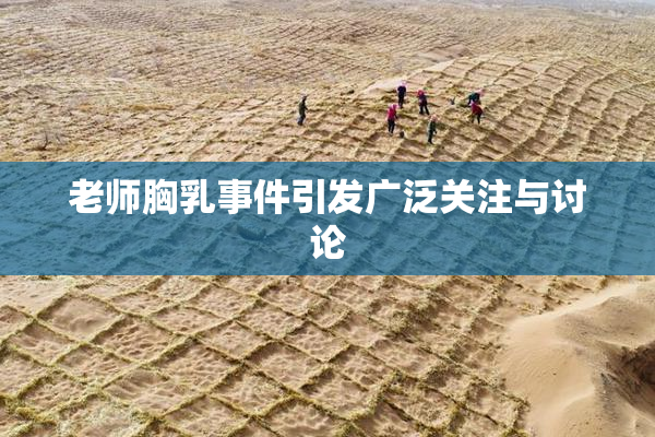 老师胸乳事件引发广泛关注与讨论