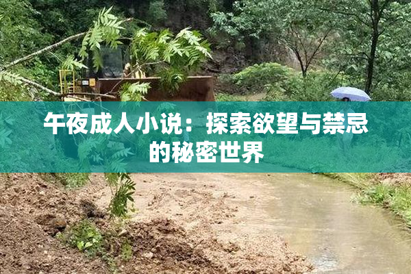 午夜成人小说：探索欲望与禁忌的秘密世界