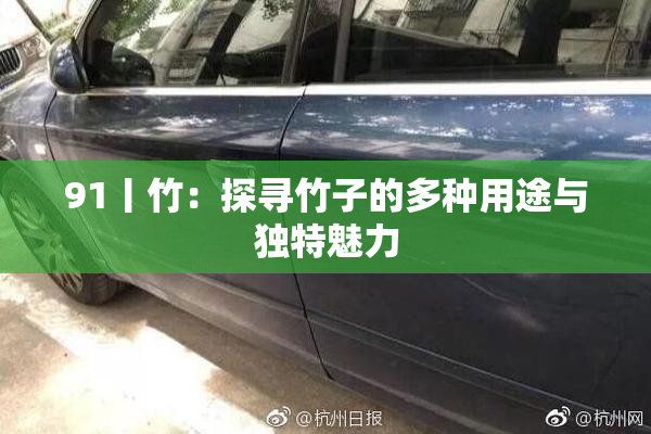 91丨竹：探寻竹子的多种用途与独特魅力