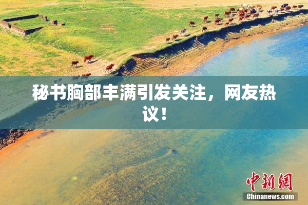 秘书胸部丰满引发关注，网友热议！