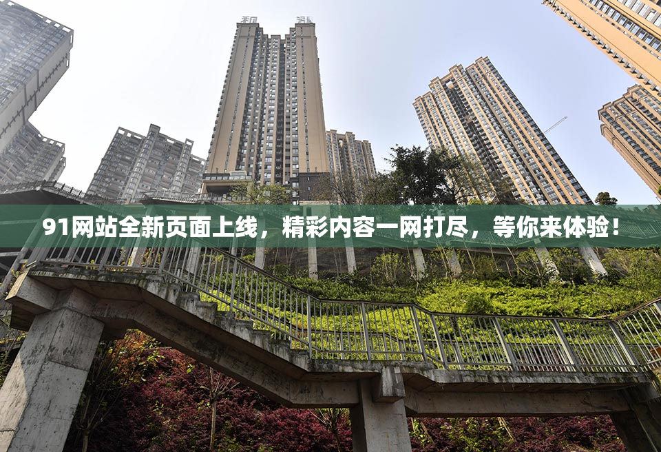 91网站全新页面上线，精彩内容一网打尽，等你来体验！