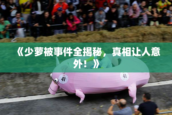《少萝被事件全揭秘，真相让人意外！》