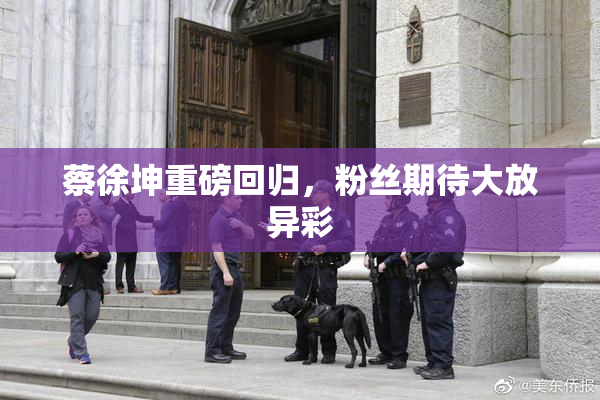 蔡徐坤重磅回归，粉丝期待大放异彩
