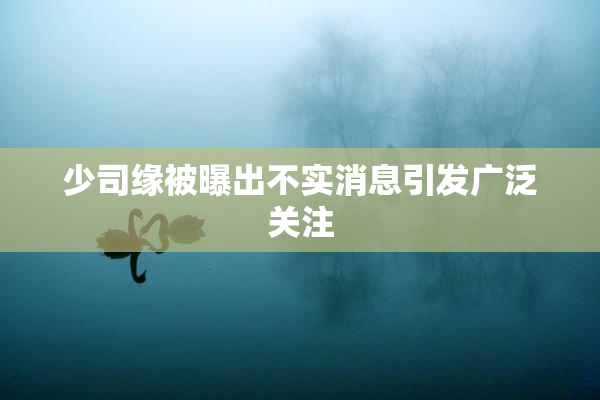 少司缘被曝出不实消息引发广泛关注