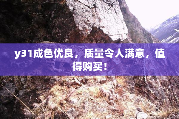 y31成色优良，质量令人满意，值得购买！