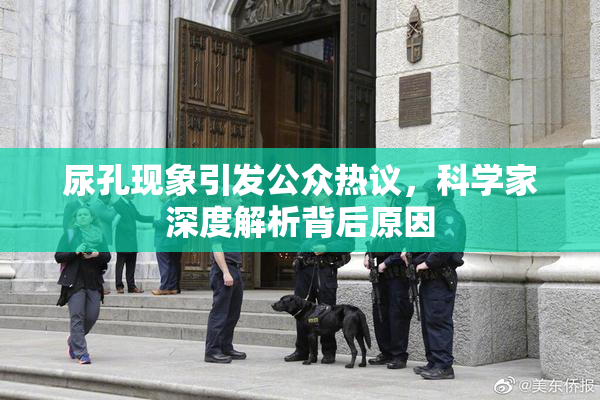 尿孔现象引发公众热议，科学家深度解析背后原因