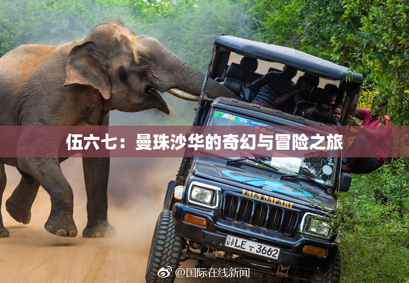 伍六七：曼珠沙华的奇幻与冒险之旅