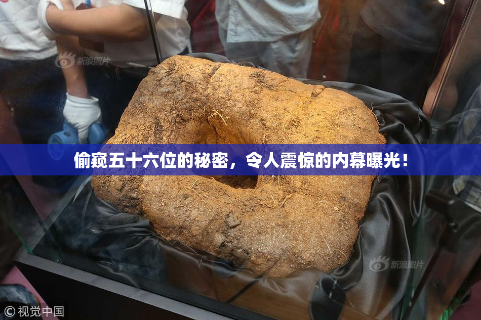 偷窥五十六位的秘密，令人震惊的内幕曝光！