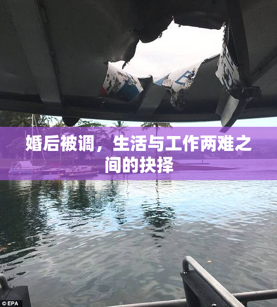 婚后被调，生活与工作两难之间的抉择