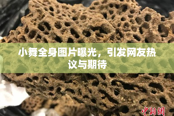 小舞全身图片曝光，引发网友热议与期待