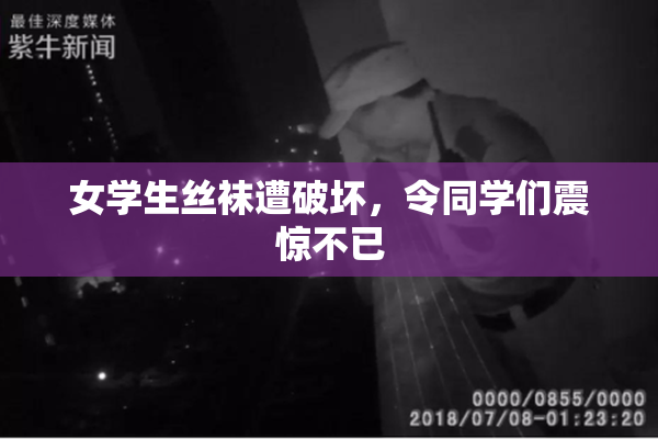 女学生丝袜遭破坏，令同学们震惊不已