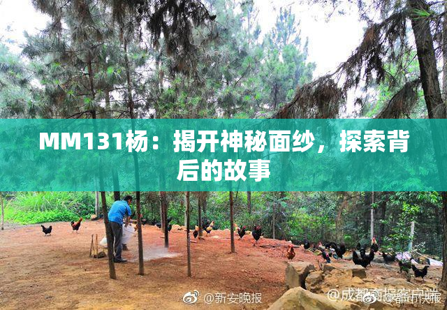MM131杨：揭开神秘面纱，探索背后的故事