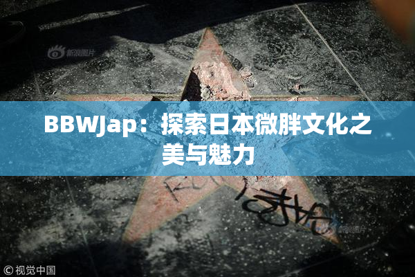 BBWJap：探索日本微胖文化之美与魅力