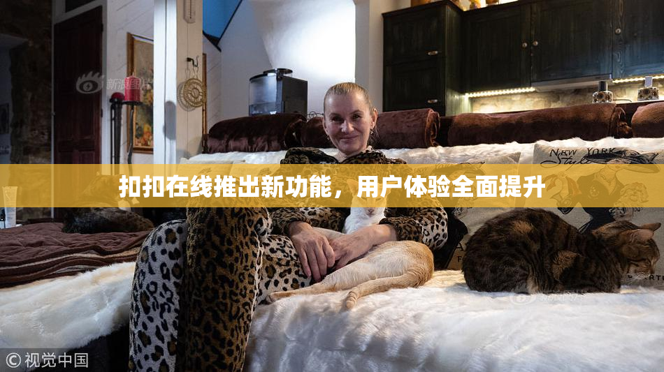 扣扣在线推出新功能，用户体验全面提升