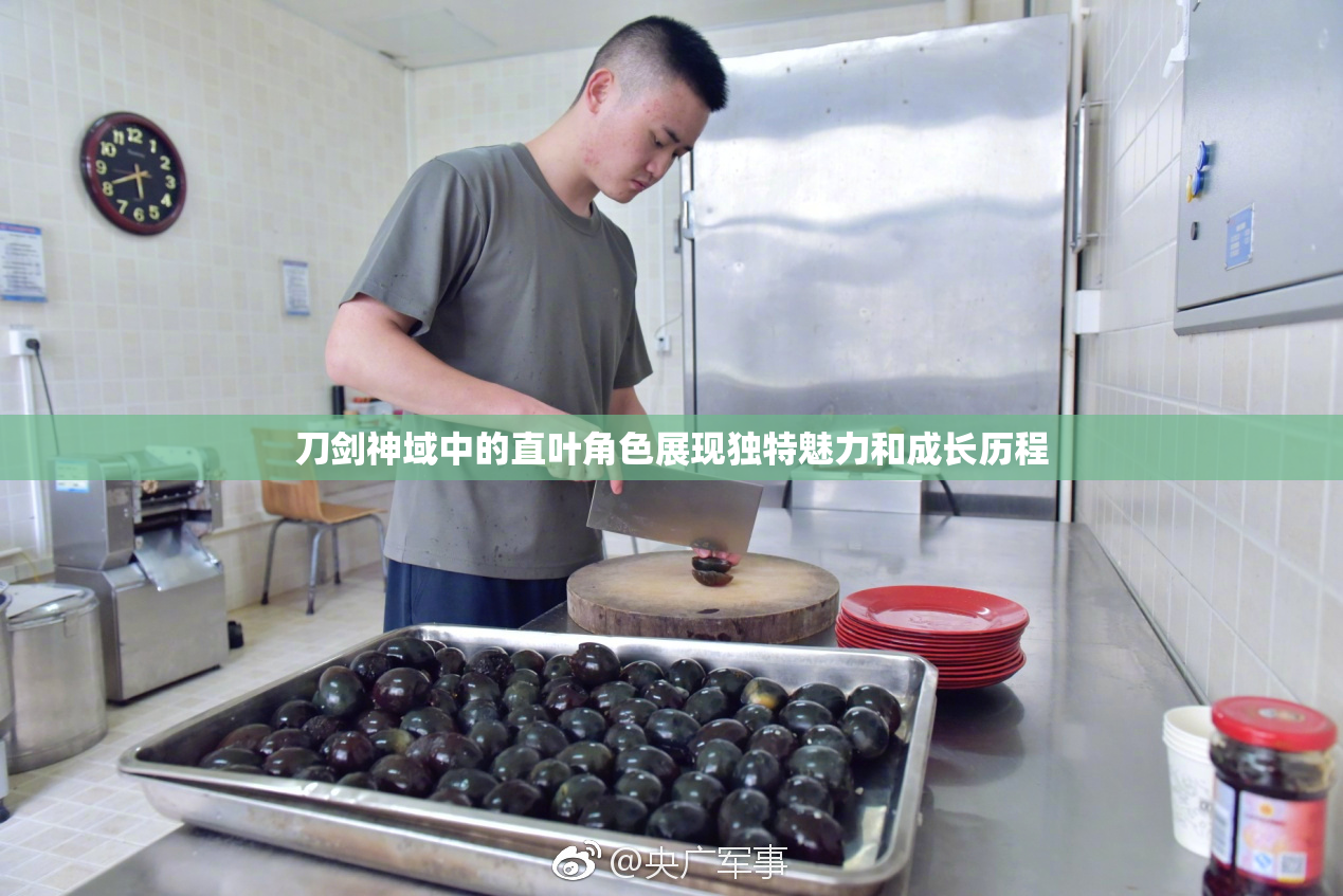 刀剑神域中的直叶角色展现独特魅力和成长历程