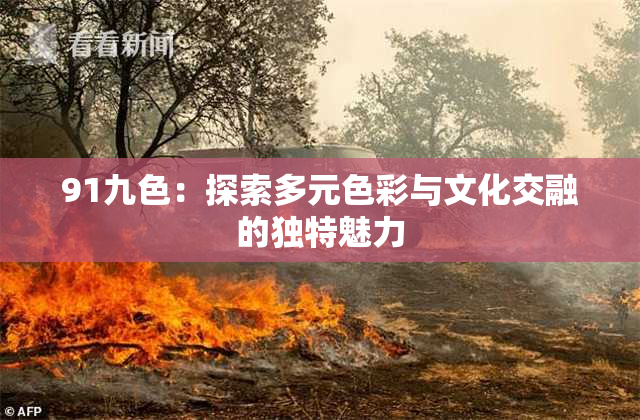 91九色：探索多元色彩与文化交融的独特魅力
