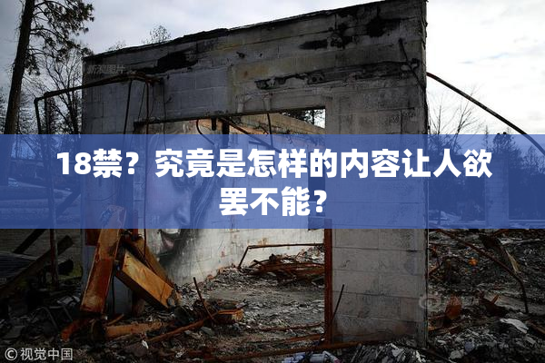 18禁？究竟是怎样的内容让人欲罢不能？