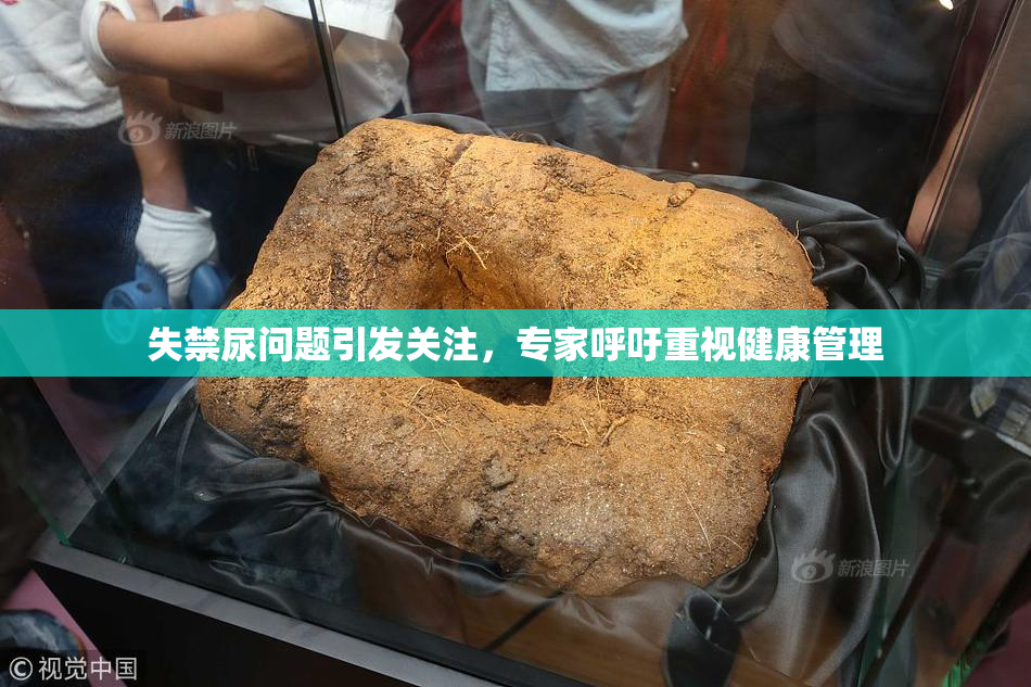 失禁尿问题引发关注，专家呼吁重视健康管理