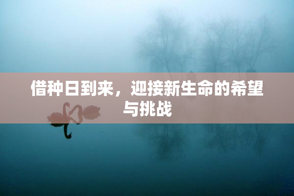借种日到来，迎接新生命的希望与挑战