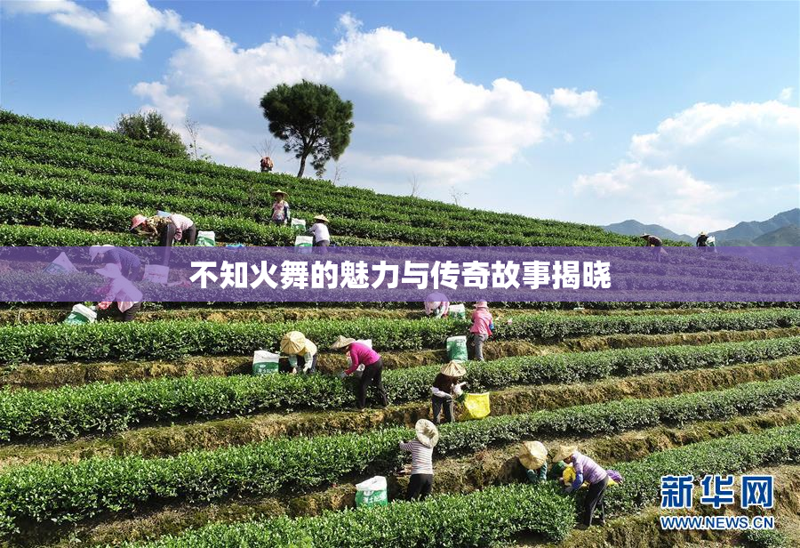 不知火舞的魅力与传奇故事揭晓