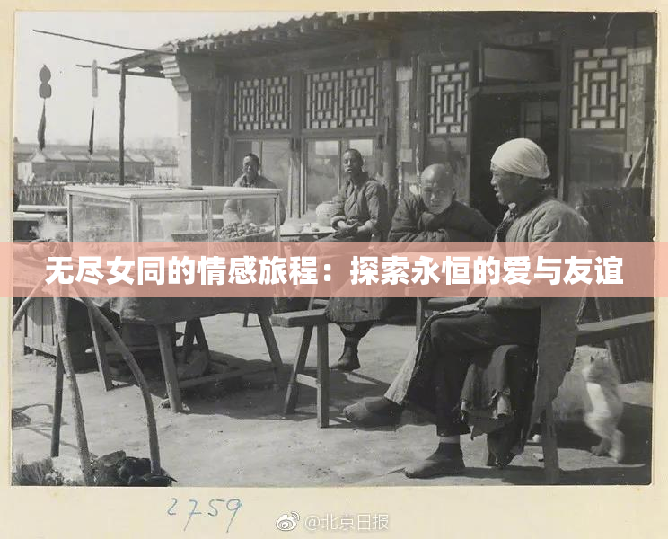 无尽女同的情感旅程：探索永恒的爱与友谊