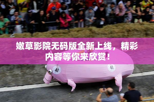 嫩草影院无码版全新上线，精彩内容等你来欣赏！