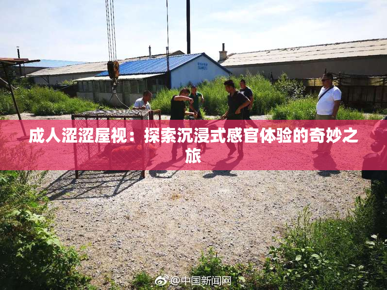 成人涩涩屋视：探索沉浸式感官体验的奇妙之旅