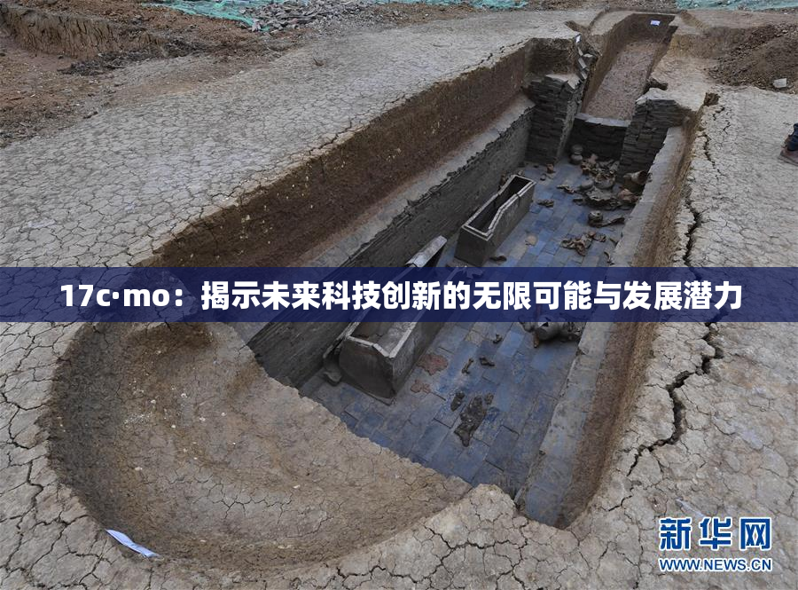 17c·mo：揭示未来科技创新的无限可能与发展潜力