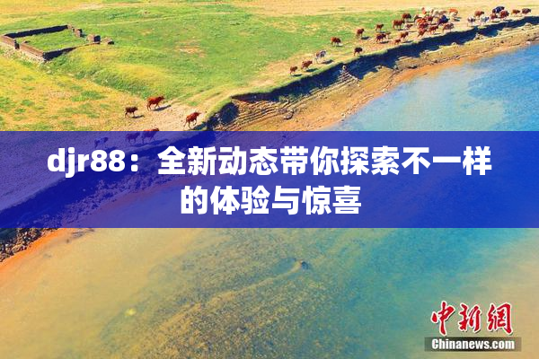 djr88：全新动态带你探索不一样的体验与惊喜