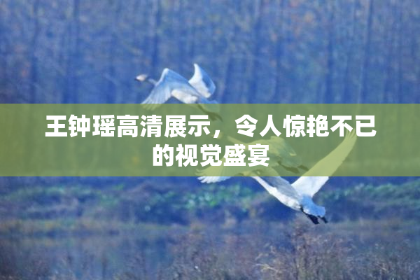 王钟瑶高清展示，令人惊艳不已的视觉盛宴