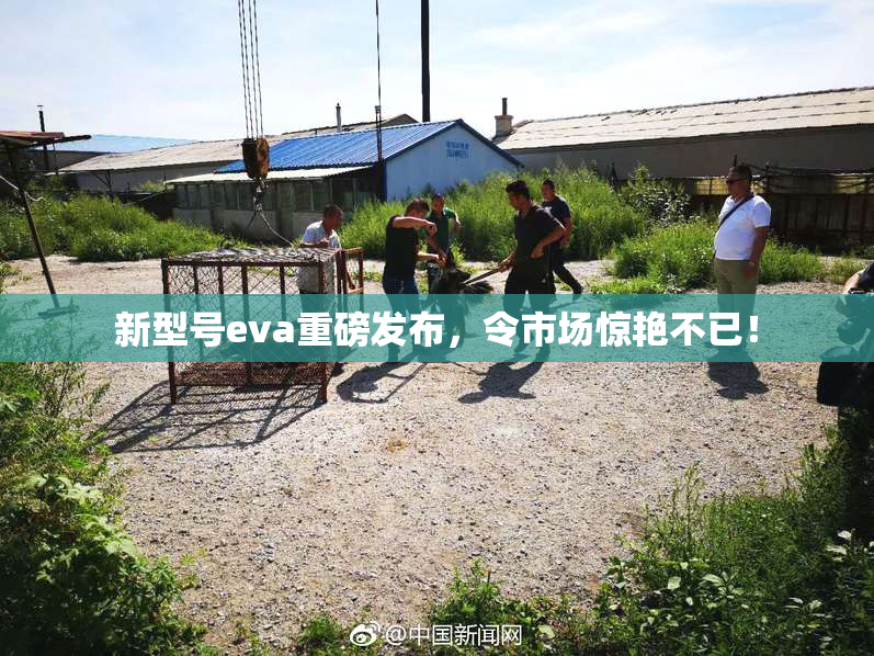 新型号eva重磅发布，令市场惊艳不已！