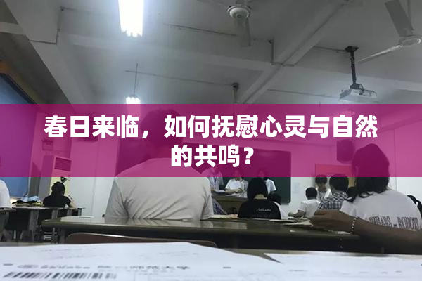 春日来临，如何抚慰心灵与自然的共鸣？