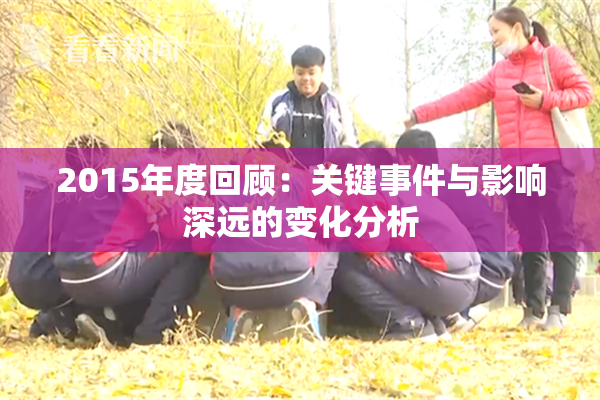 2015年度回顾：关键事件与影响深远的变化分析