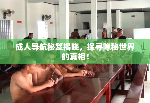 成人导航秘笈揭晓，探寻隐秘世界的真相！