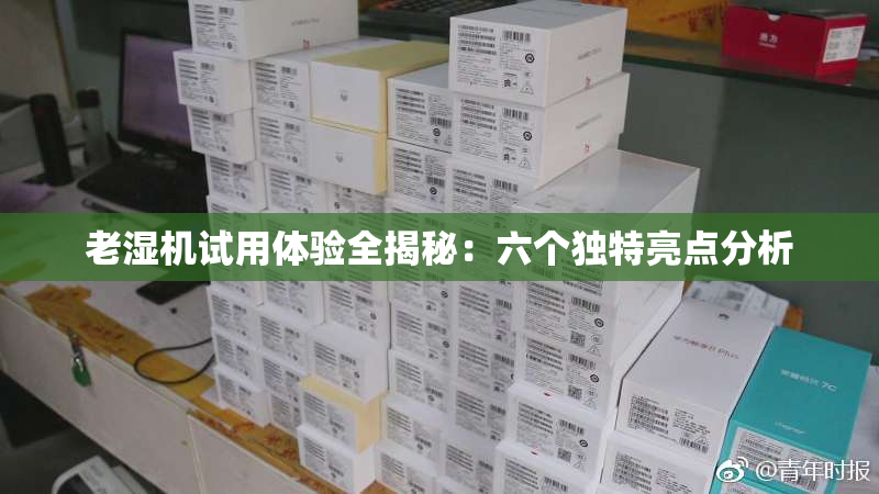 老湿机试用体验全揭秘：六个独特亮点分析