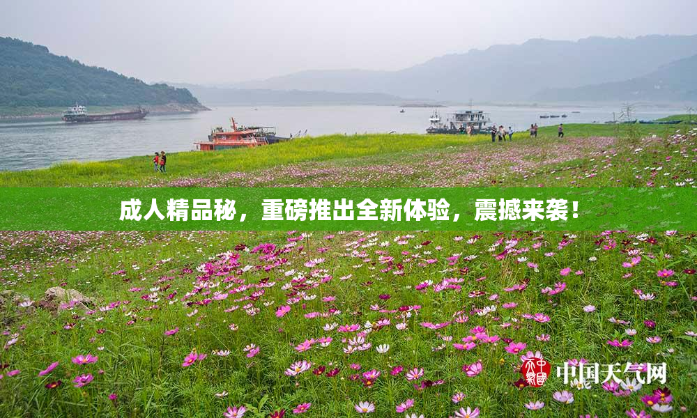 成人精品秘，重磅推出全新体验，震撼来袭！