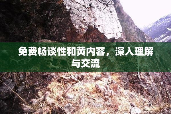 免费畅谈性和黄内容，深入理解与交流